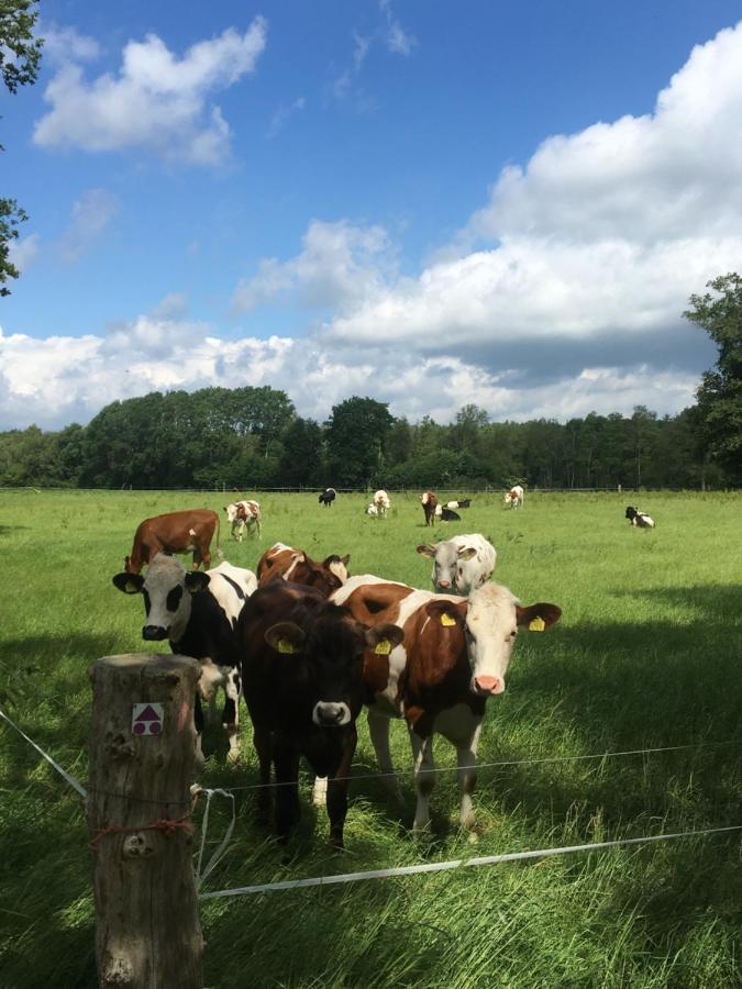 De Steerne, Mooie Plek Aan Het Overijssels Kanaal. Schalkhaar Екстериор снимка